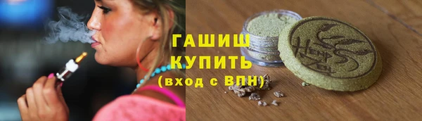 индика Галич